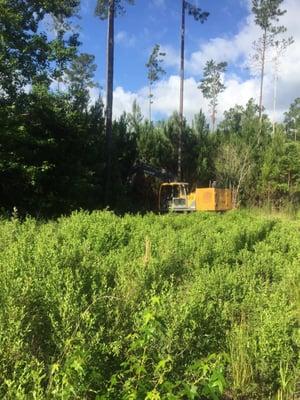 Foy Randall Enterprises