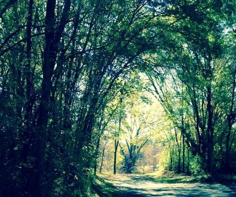 Staring Lake Dog Park