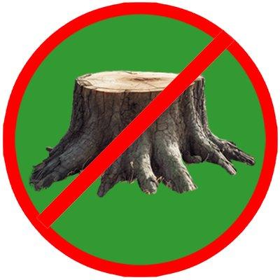 Tamarack Stump Removal