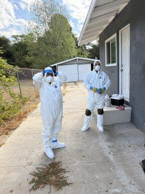 Bio cleaning crawlspace cleanup