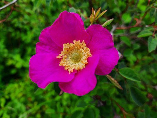 Waterfront Renaissance Trail