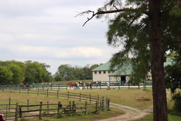 Aspen Hill Stables