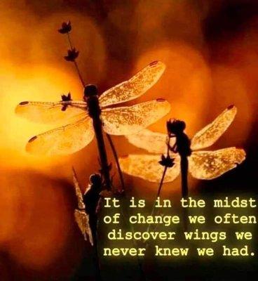 Call today to start changing your life.