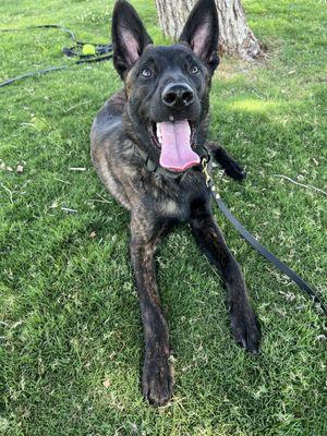 Gilcrease Brothers Park photo