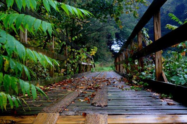 Melissa Mcvicker, PhD, LMFT