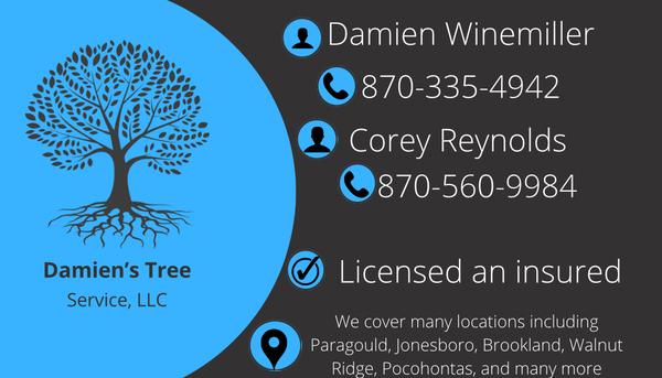 Damien’s Tree Service