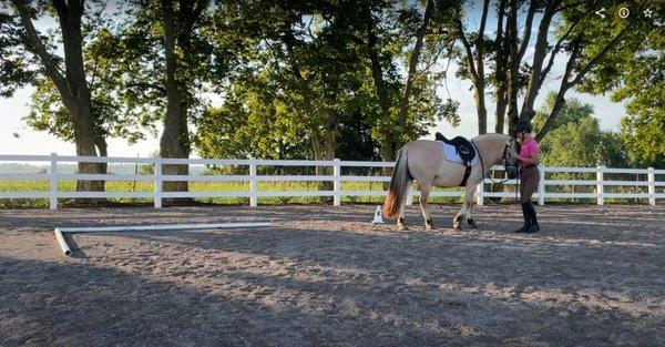 Equine Connection Freelance Training