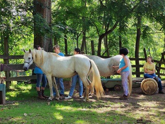 Arrowood Riding Stables