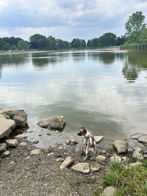 Bow Wow Beach Dog Park