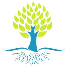 Kinetic EFX & Wellness