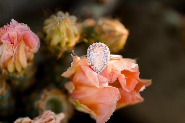 Robert Godridge Photography