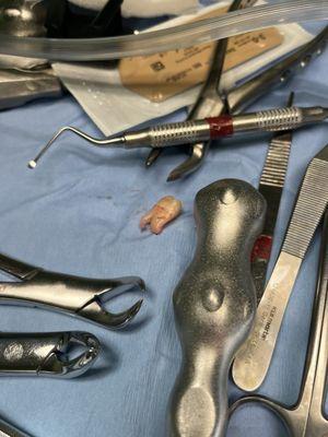 Lancaster Dental Arts, PC