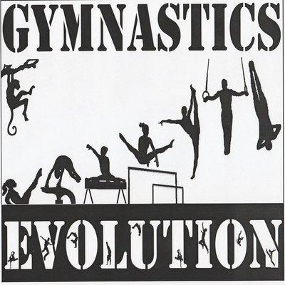Gymnastics Evolution
