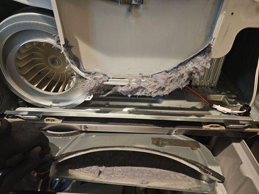 DoRight Home Service