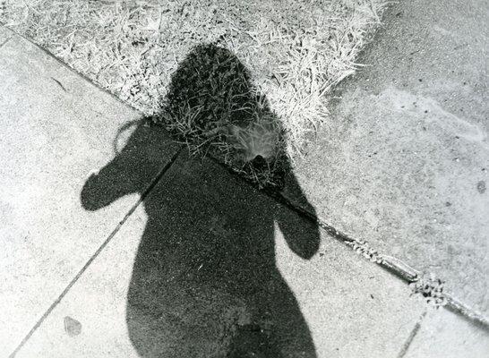 Photography Classes for kids at The Perfect Exposure Gallery during Spring Break 2019