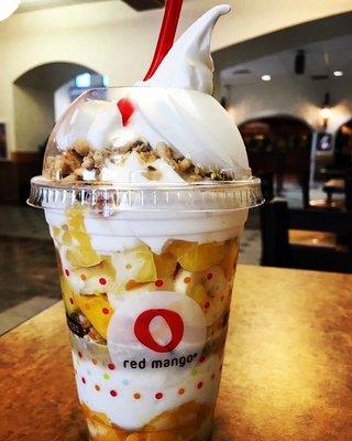 Red Mango Frozen Yogurt