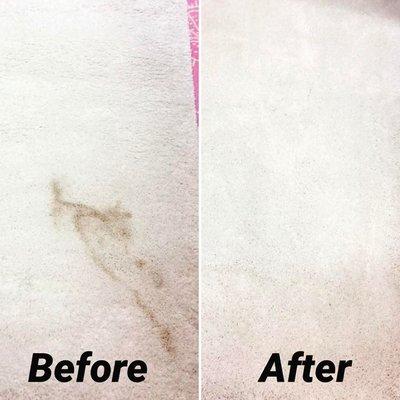 before and after carpet stain cleaning coral springs
