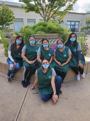 Professional Eco Cleaning