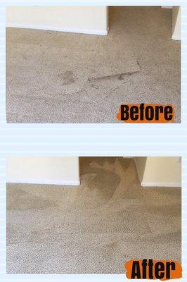 Mr Happy Carpet Cleaning & Janitorial Services