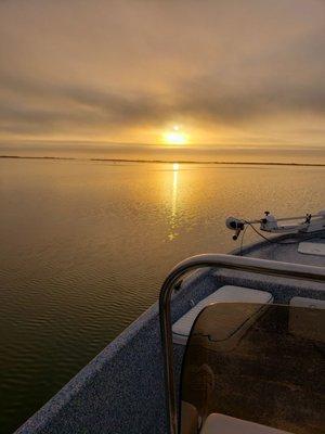 Titelines Guide Service