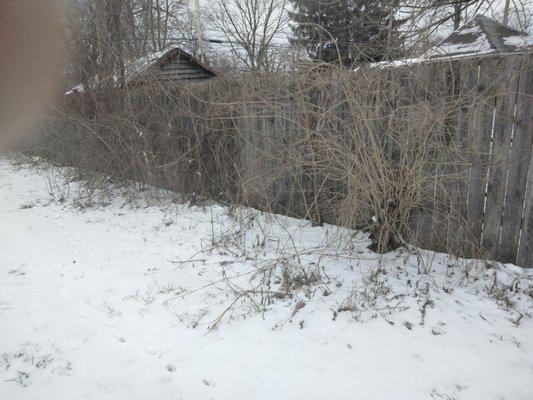 Q & Son's Hauling & Towing