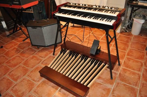 The Organ Doctor