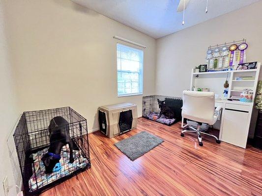 K9 Adventures Florida