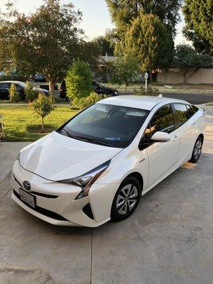 Your Life Sober Living