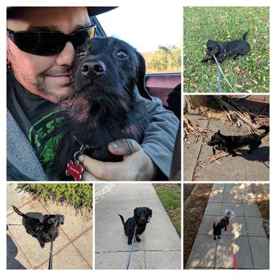 Robert Marston - Keller Williams Realty