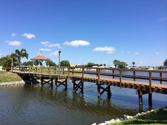 Tree Lakes Association