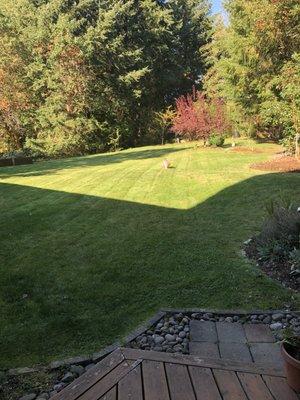 Our back yard after the work was finished