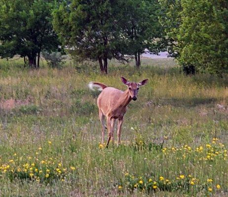 At Lone Oak Properties in Tecumseh