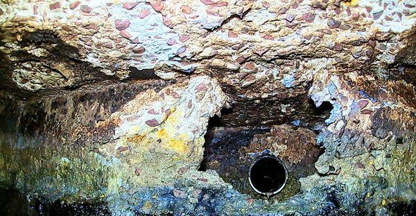 Complete Septic Service