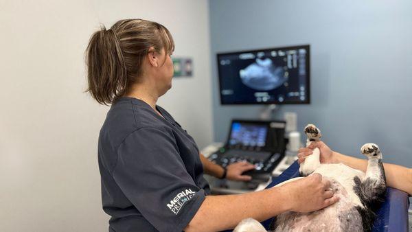 Centre Animal Hospital