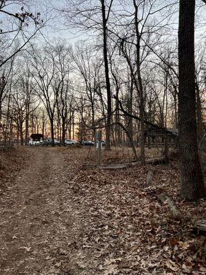 Conway Robinson State Forest