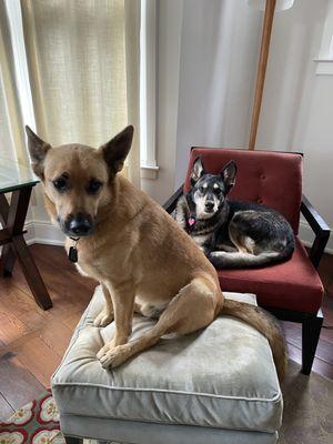 It's Wednesday right? Time to get going