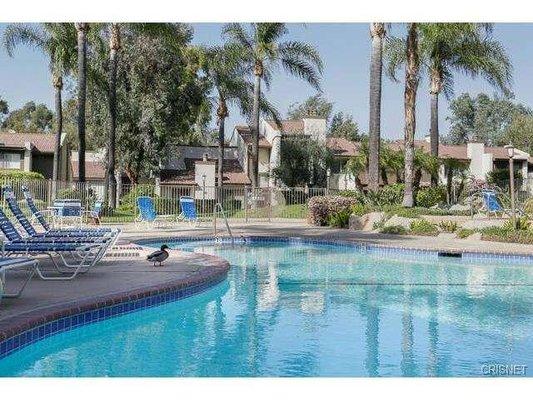 Two well maintained pools with spa.