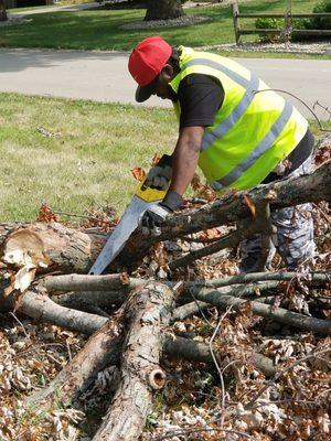 In and Out Property Services