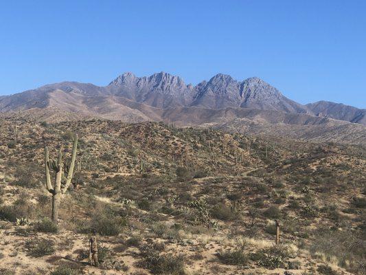 Four Peaks Investigations