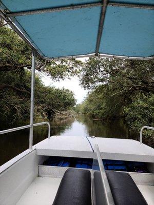 Bayou tour