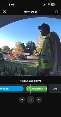 Berira Trees N Yard Services