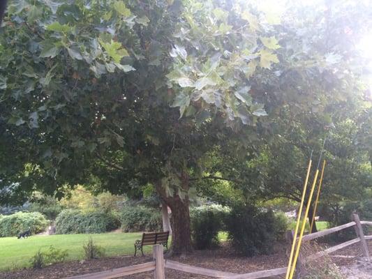 Beautiful little town park .... Perfect place to relax while the kids play .....