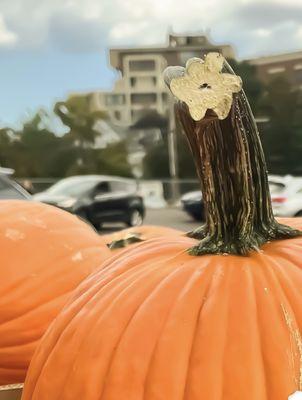 Here's to October fun times!