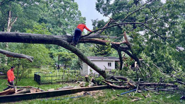 Kelley's Tree Services