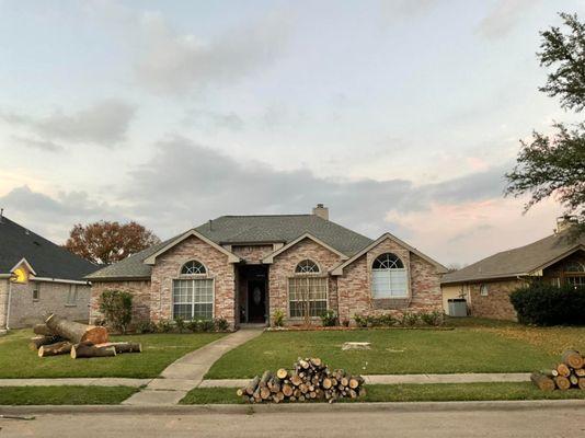 Tree Service Of Mobile