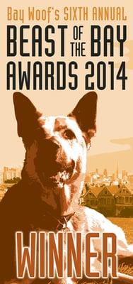 Outdoor Pet Care Dog Walkers