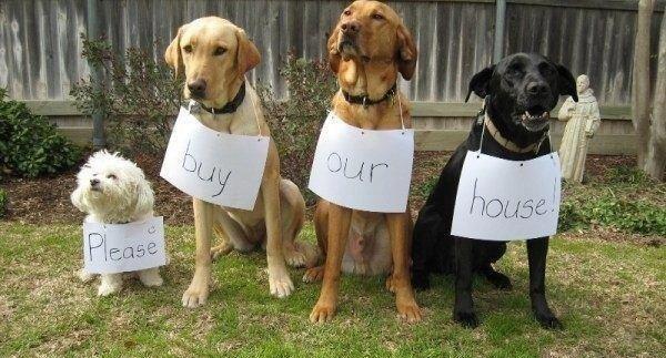 Birmingham Investors