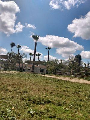 Juan & Francisco Landscaping & Tree Services