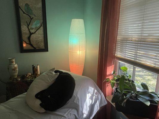 Zen Oasis Acupuncture & Holistic Wellness