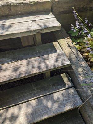 The same loose stairs that my 7-month-old grandson is carried up and down there was also supposed to be repaired.